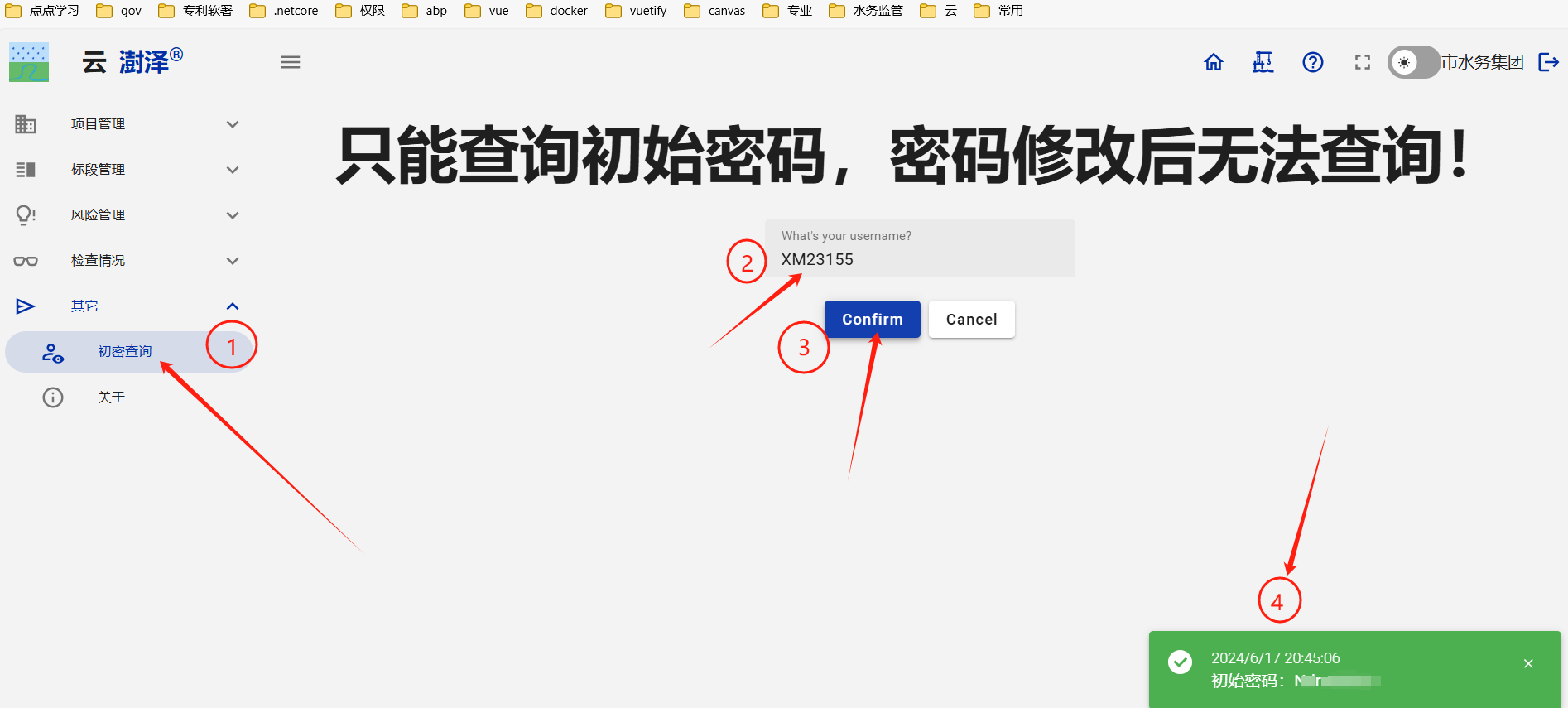 image-20240617204707332