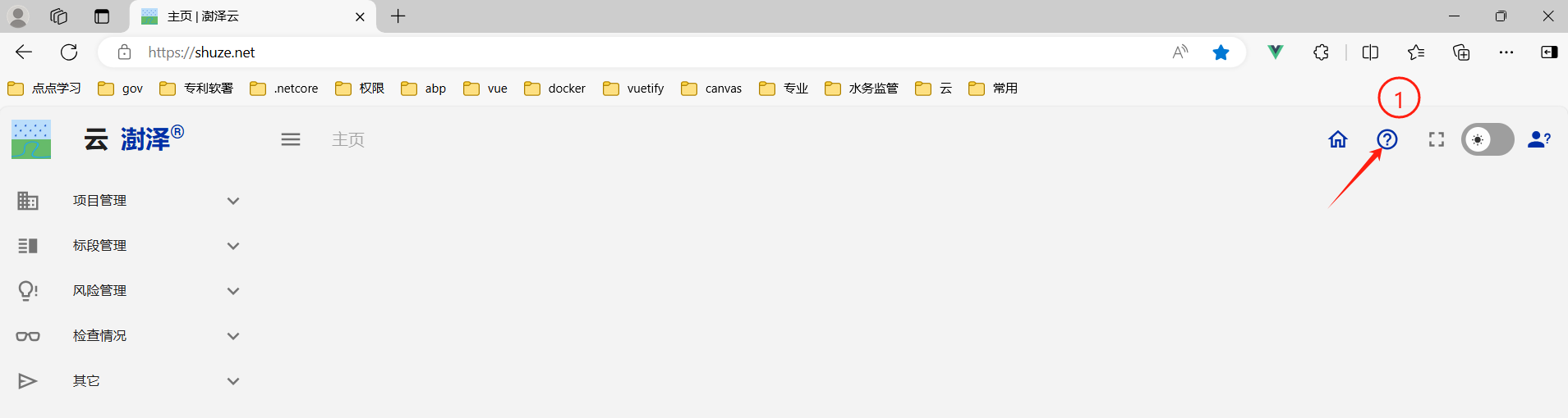 image-20240618221831957